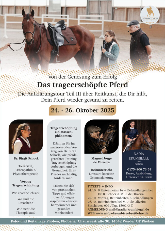 Flyer-Tour-3-Nadja-mit-Anzeige-Social-Media